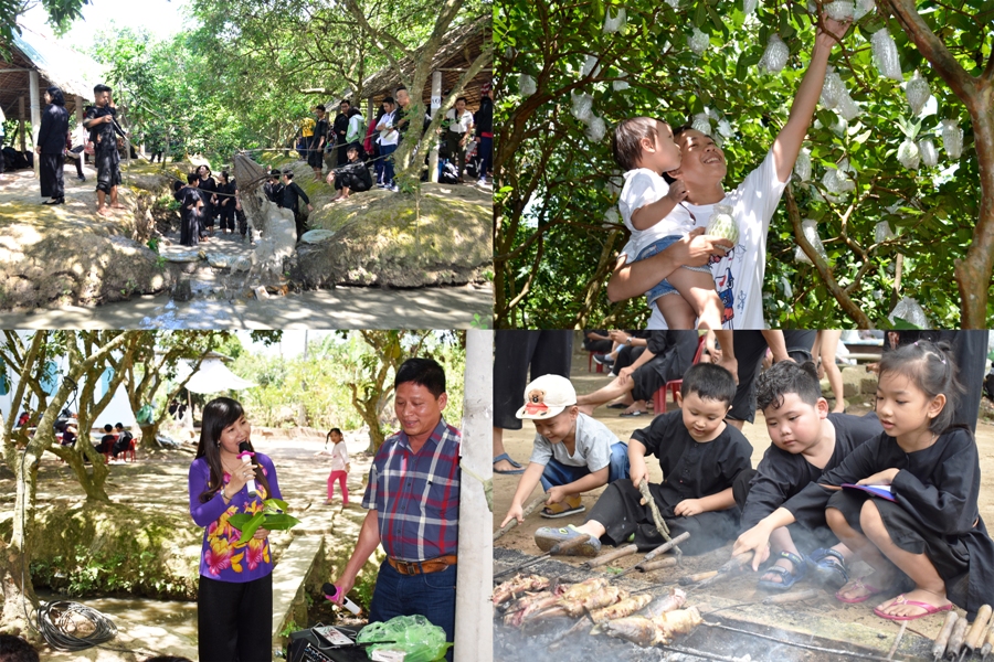 Tour TÁT ao BẮT cá - Vườn ổi - Nghe đàn ca tài tử
